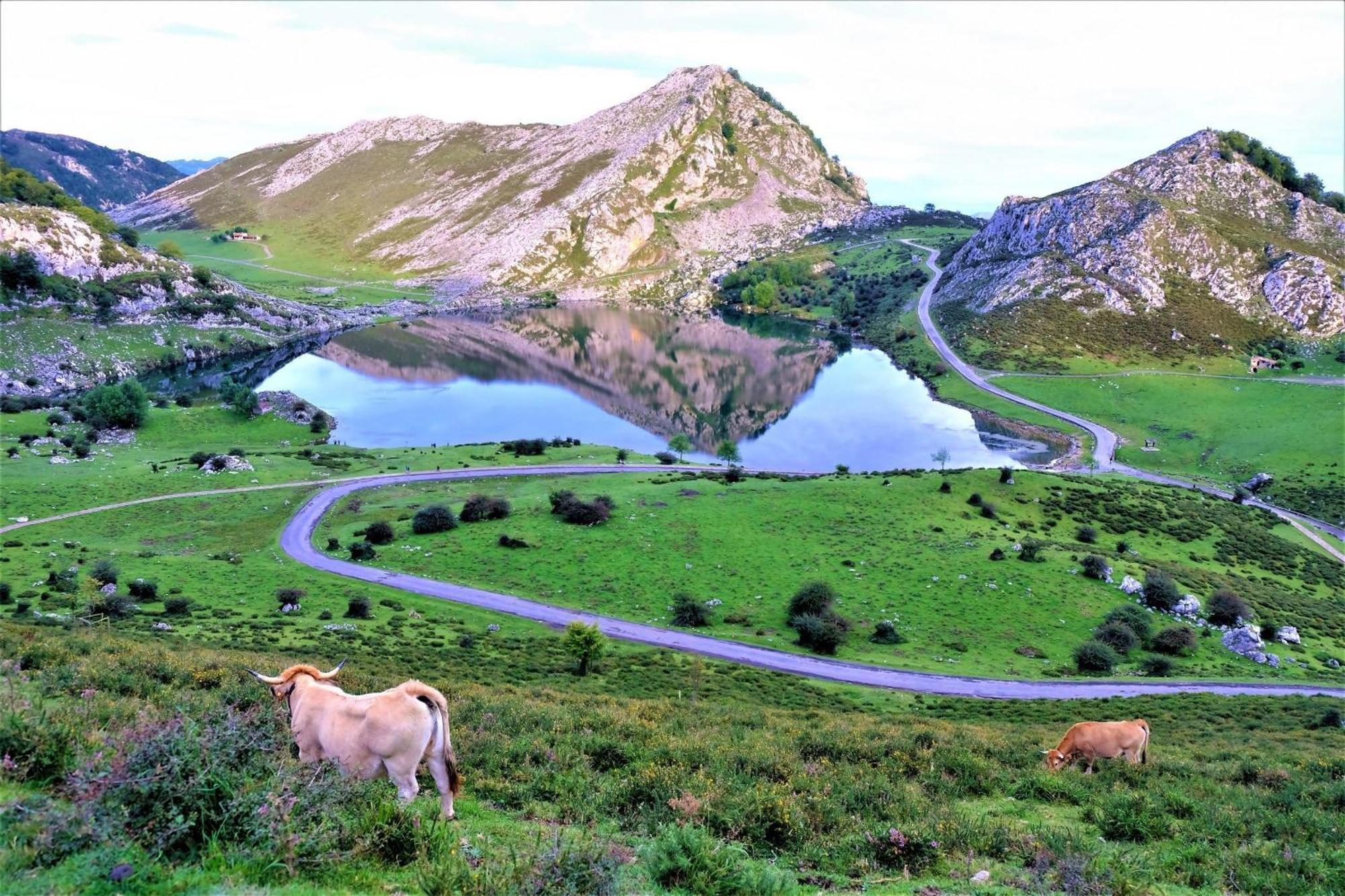 Vacacional La Jorcada Holiday home *